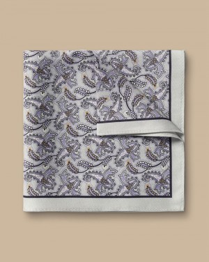 Light Grey Charles Tyrwhitt Paisley Print Silk Pocket Square | GYTUNF-591