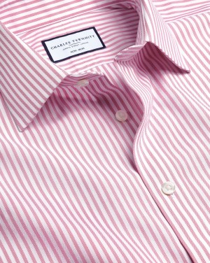 Pink Charles Tyrwhitt Non-Iron Royal Oxford Butcher Stripe Shirt | BLPTJA-061