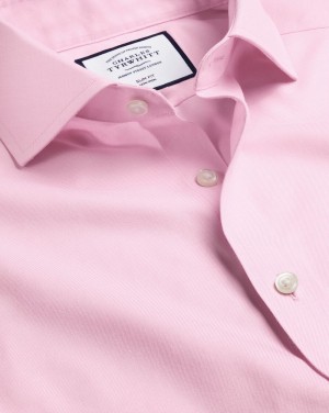 Pink Charles Tyrwhitt Spread Collar Non-Iron Twill Shirt | OXAIQE-576