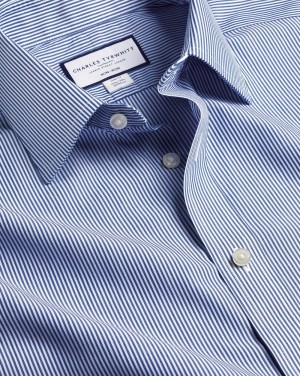 Royal Blue Charles Tyrwhitt Non-Iron Bengal Stripe Shirt | AJCFVK-438