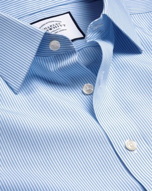 Sky Blue Charles Tyrwhitt Non-Iron Bengal Stripe Shirt | CPTGIN-328