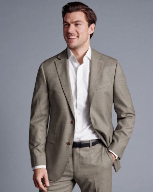 Taupe Charles Tyrwhitt Sharkskin Suit Jacket | KSOUCR-745